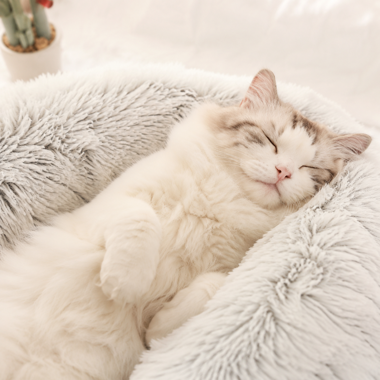 Soft Plush Cat Cave Bed | Cozy Covered Bed for Cats & Small Dogs