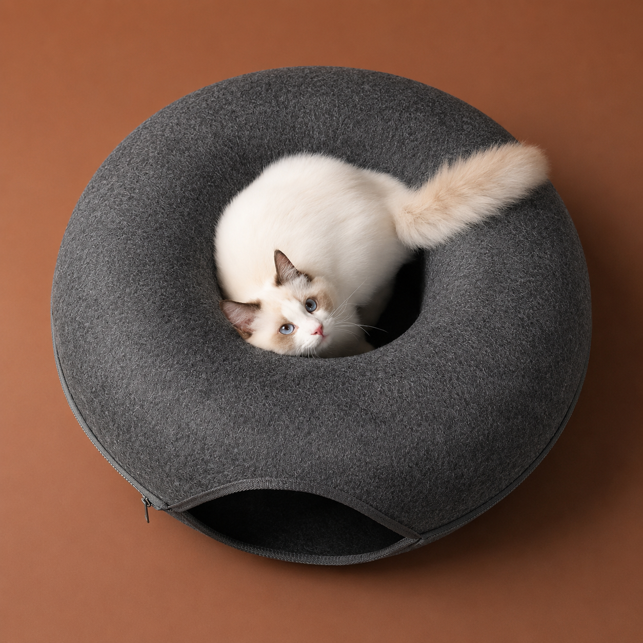 Donut Cat Tunnel Bed | Felt Hideaway, Tunnel & Scratcher