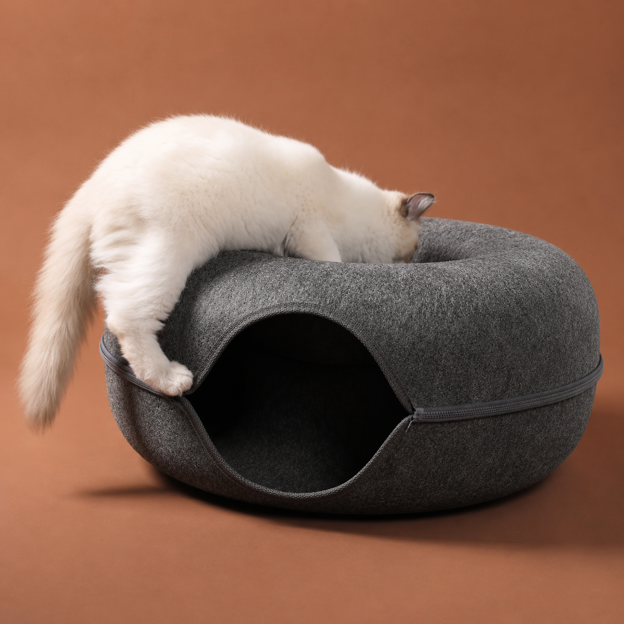 Donut Cat Tunnel Bed | Felt Hideaway, Tunnel & Scratcher