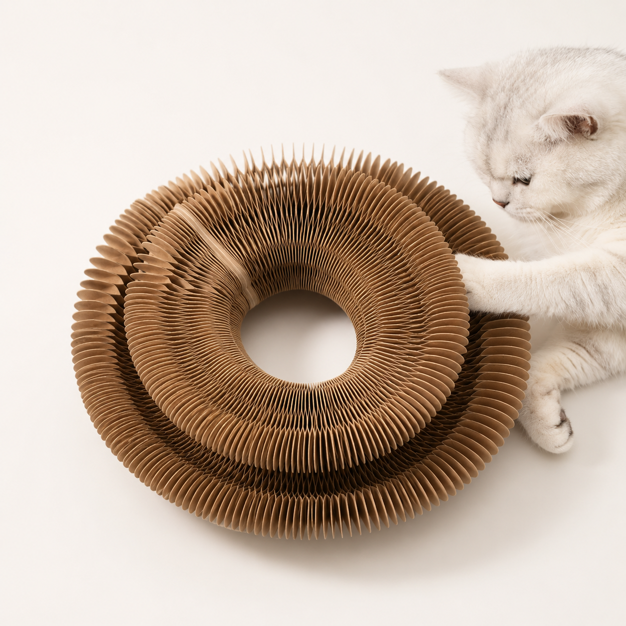 Foldable Cat Scratcher with Spinning Ball | Magnetic