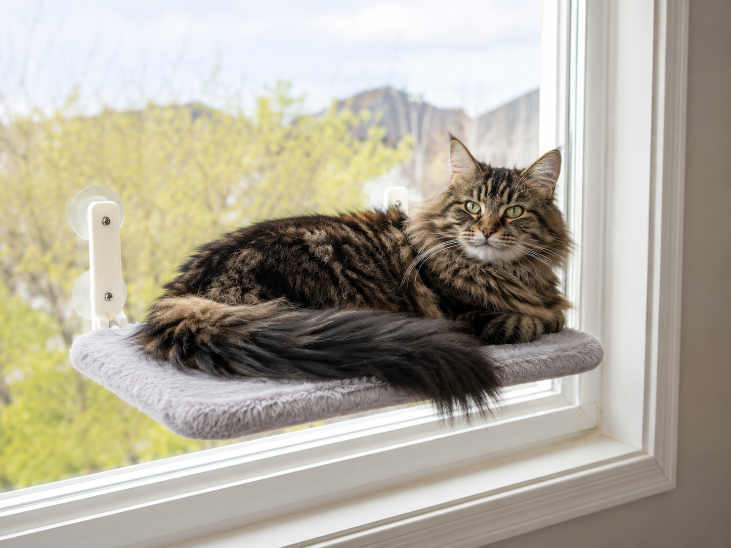 Cat Window Perch & Hammock | Sunny Suction Cup Seat