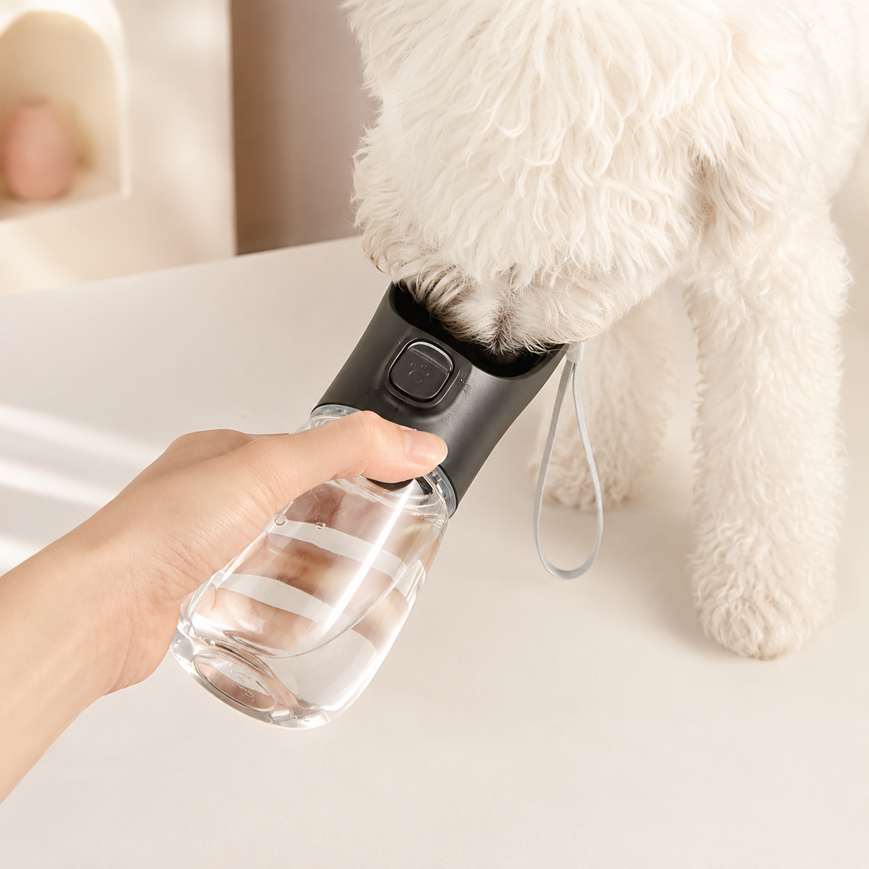 Portable Dog Water Bottle | Leakproof Travel Bowl